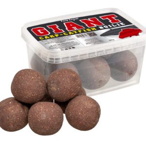 CZ 1592 1608 1615 copy.jpg