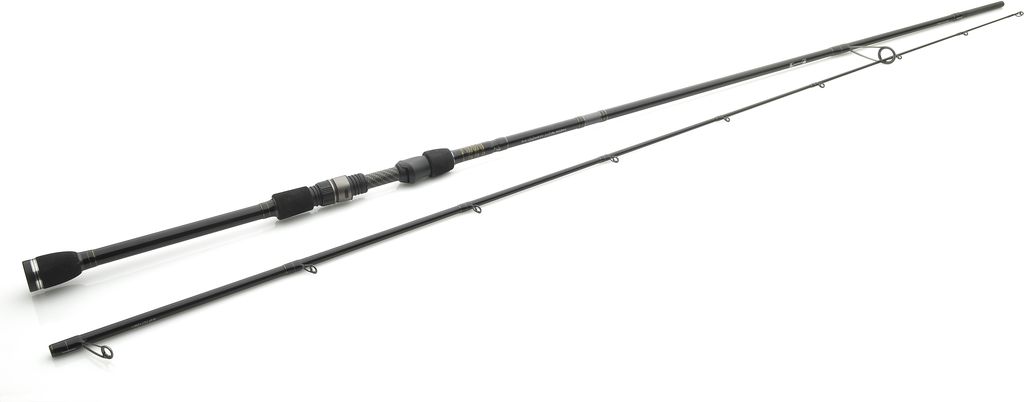 W310 0712 ML big.jpg