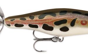 centumzoo 507465.jpg