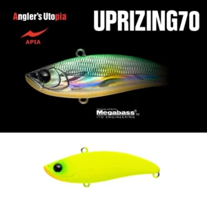 Apia Uprizing 70 14gr 70mm 03 All Chart