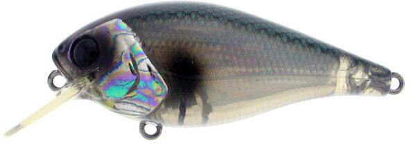 river2sea biggie 67 br abalone shad