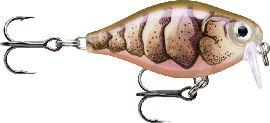 rapala wobbler x light crank shal r. 03 pupu