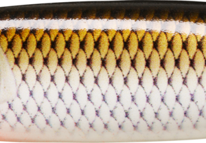 rapala wobbler weedless minnow spoon 8 atro