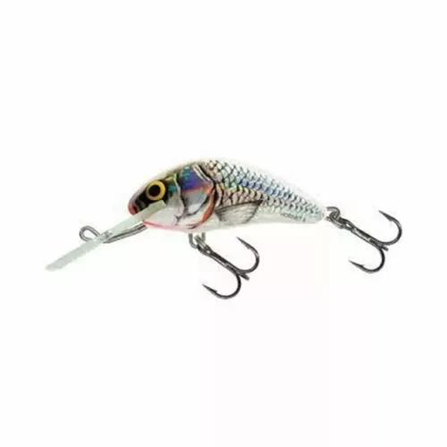 salmo wobbler hornet h2s sws