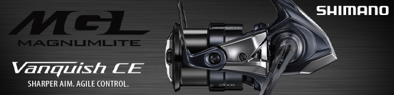 vanquish ceweb bannerstudiodealer576x140