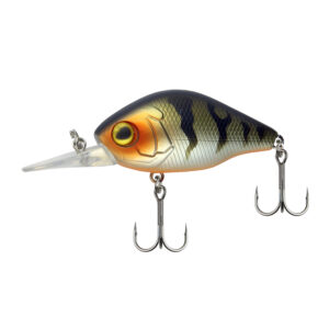 Chubby Special 45 Mat Tiger