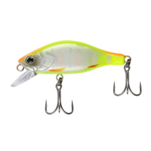 Fat Minnow 40 - SFC Special